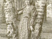 Ирина Сиротинская, 1950-е гг. Фото предоставлено ВОКГ